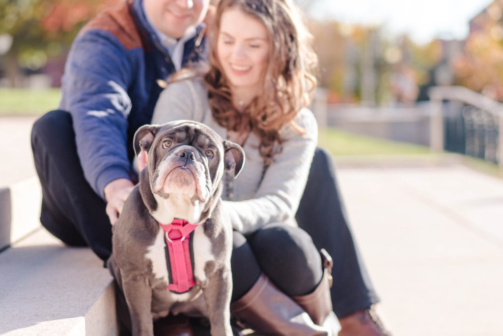 engagement sessions with a dog in capitol hill washington dc