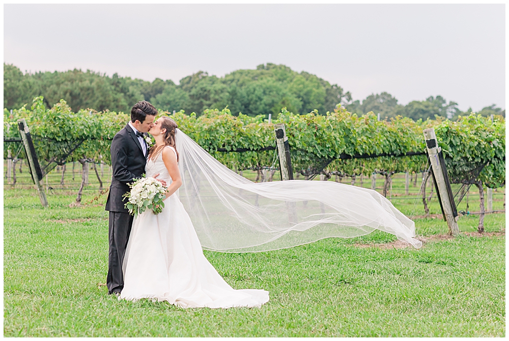 Williamsburg Winery wedding portrait of a bride and groom taken by a Northern Virginia wedding photographer