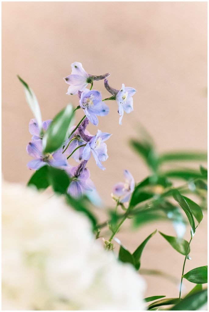 Ivory, blue, and lilac flowers pop against a crisp, white marble wall at John and Lindsey's wedding ceremony. They said I do in downtown Richmond, VA.
 
I'm Emily, a Northern VA and Richmond wedding photographer based in Vienna, VA near Washington, D.C. If you're looking for a wedding photographer who will help you craft a custom wedding day timeline, take great care to capture every memory as it happens, and hype you up with easy posing prompts, visit my website to inquire!