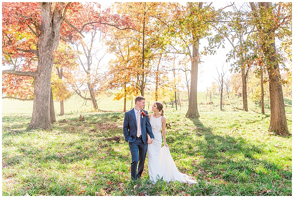 Fox Meadow Barn wedding portraits | Winchester, VA | Photos by Northern Virginia wedding photographer, Emily Nicole Photography