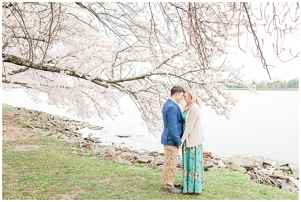 Rainy cherry blossom engagement session | Washington, D.C. wedding photographer