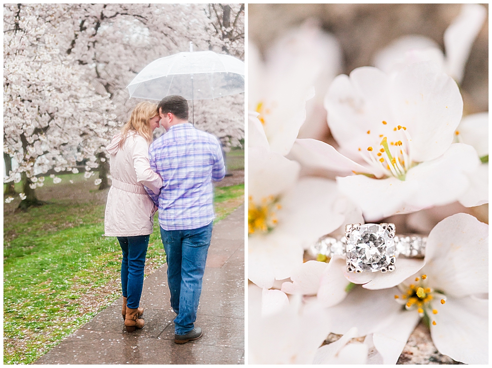 Cherry blossom engagement ring | rainy cherry blossom engagement session on the Tidal Basin by a Washington, D.C. wedding photographer