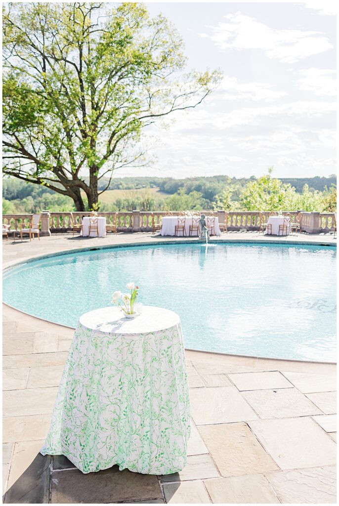 Poolside cocktail hour decor inspiration for Estate at River Run wedding | Bright and airy wedding photographer based in Virginia
